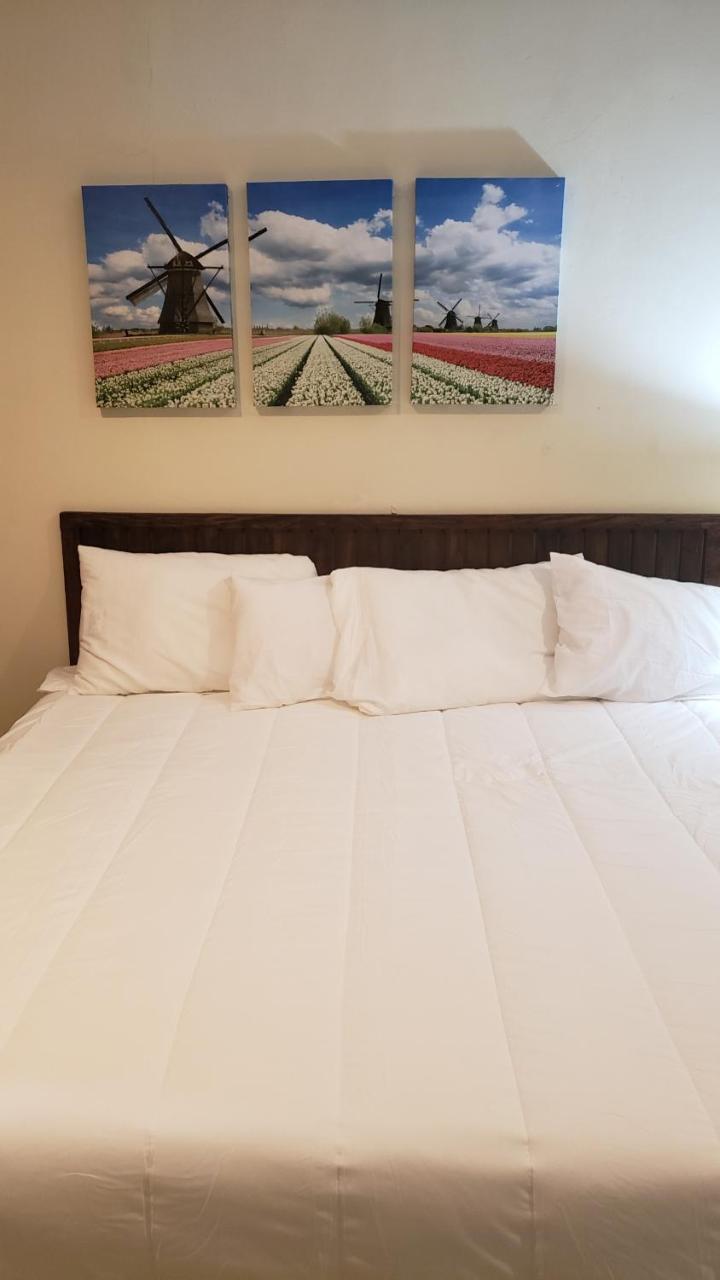 Domus Hotel San Salvador Esterno foto